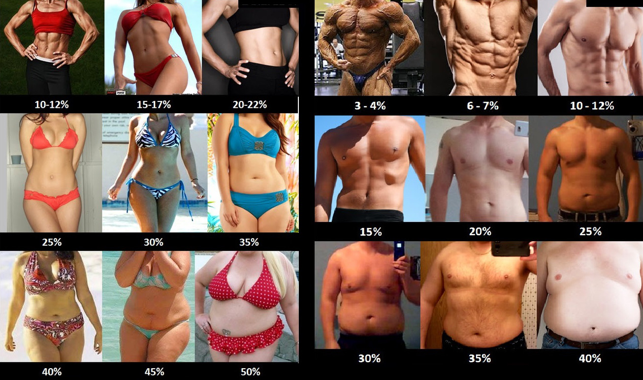 body-fat-percentage1