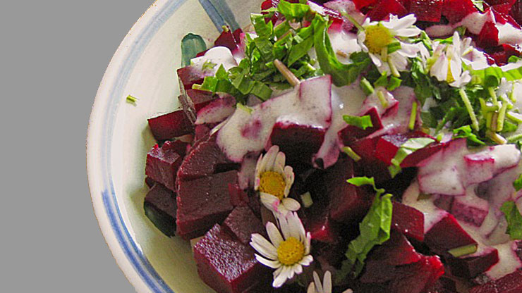 Apfel Rote Beete Salat